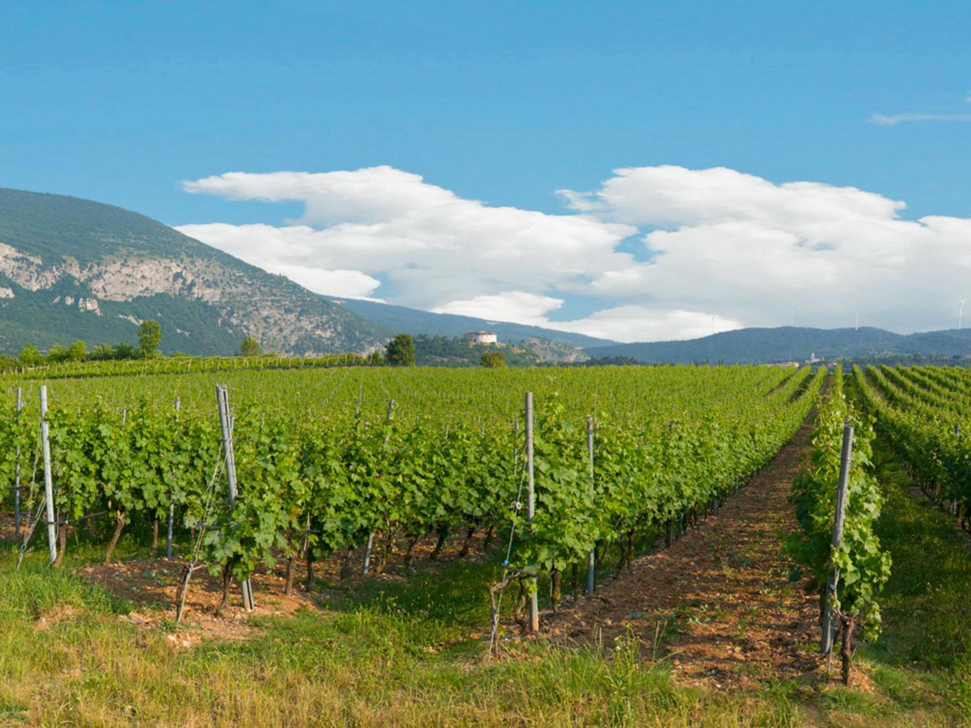 Tenuta La Presa Caprino Veronese Exterior photo